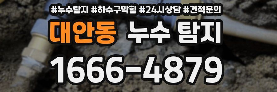 대안동 누수 탐지