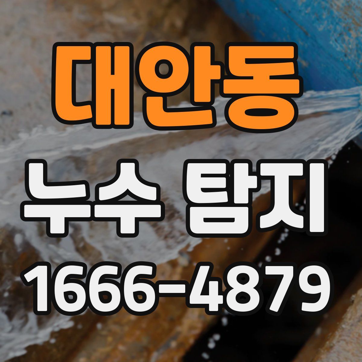 대안동 누수 탐지