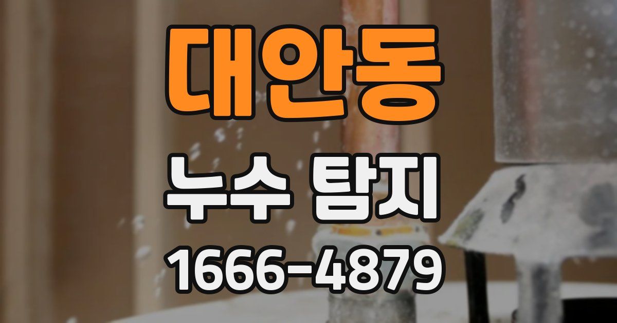 대안동 누수 탐지