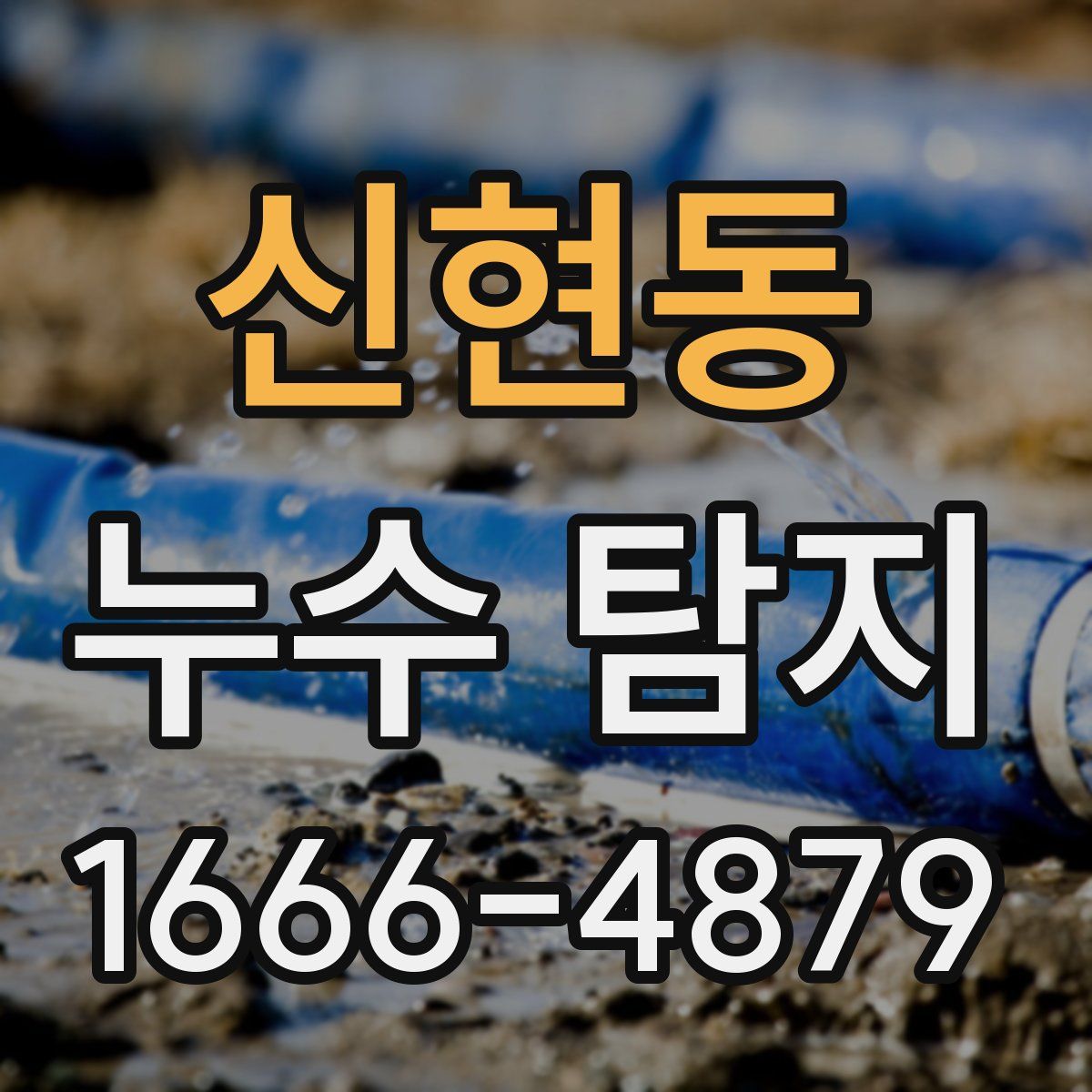 신현동 누수 탐지