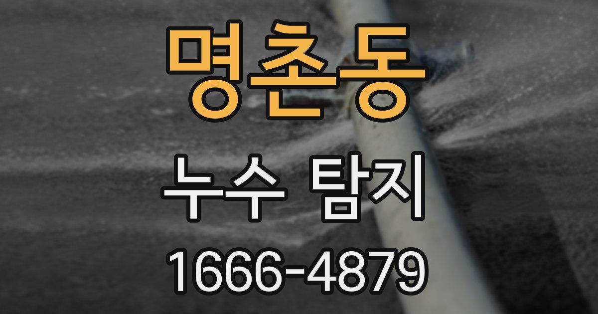 명촌동 누수 탐지