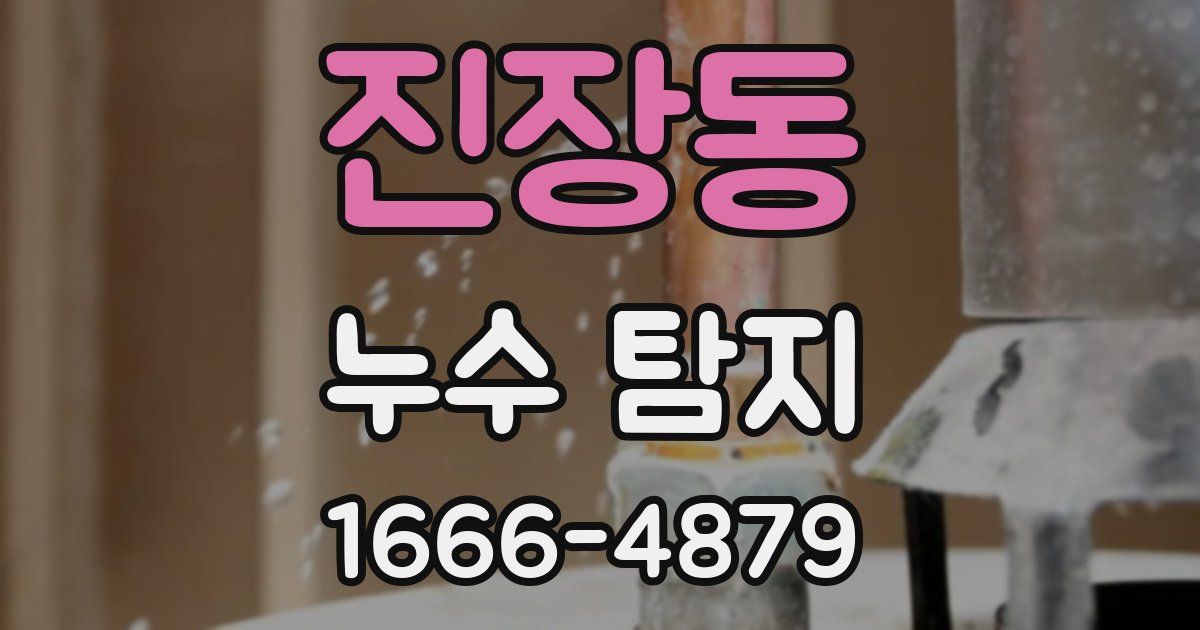 진장동 누수 탐지
