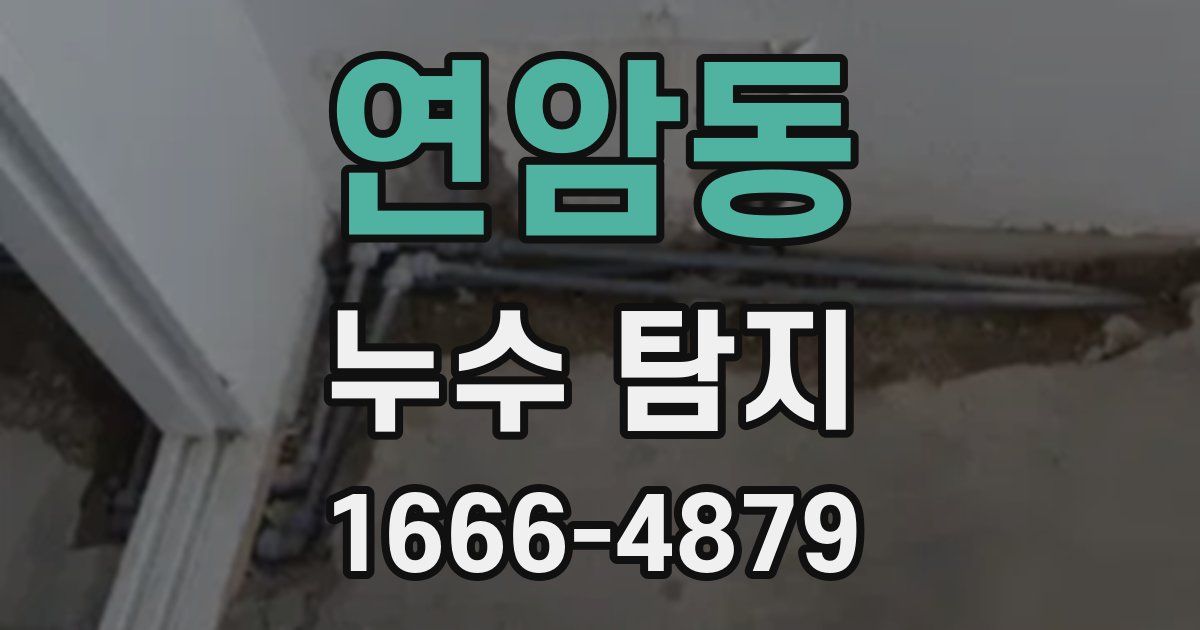 연암동 누수 탐지