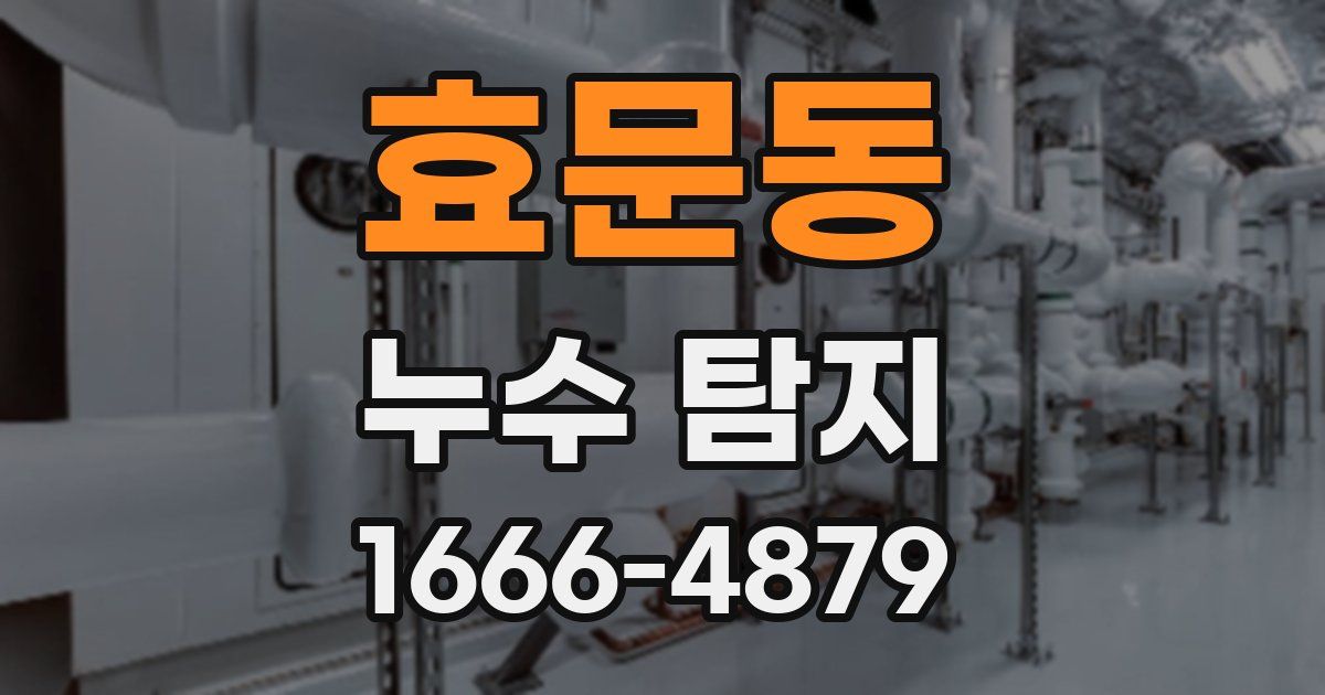 효문동 누수 탐지