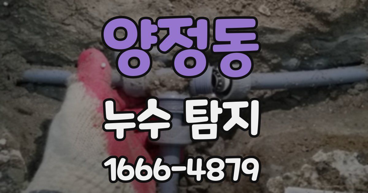 양정동 누수 탐지