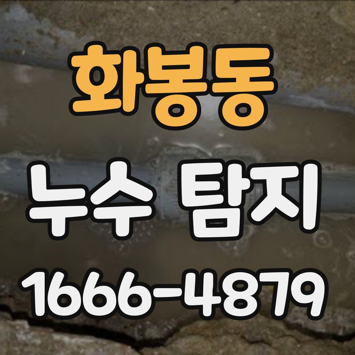 화봉동 누수 탐지