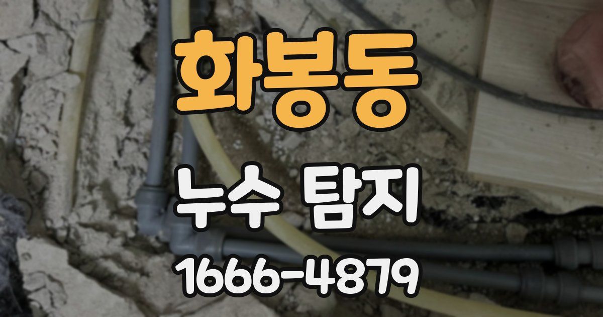 화봉동 누수 탐지