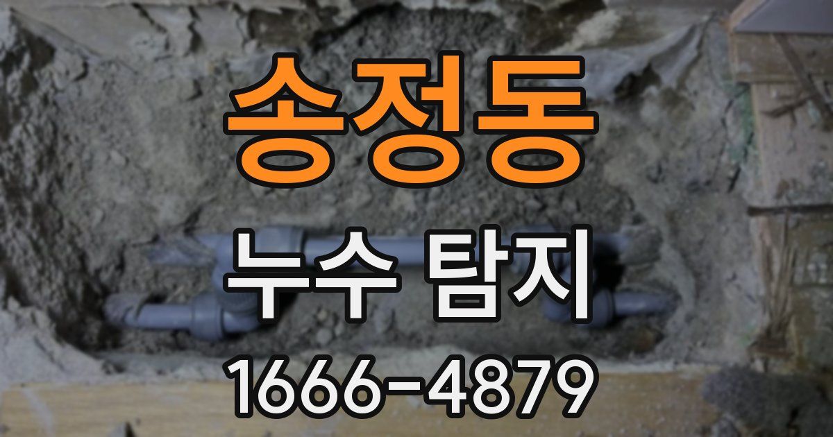 송정동 누수 탐지