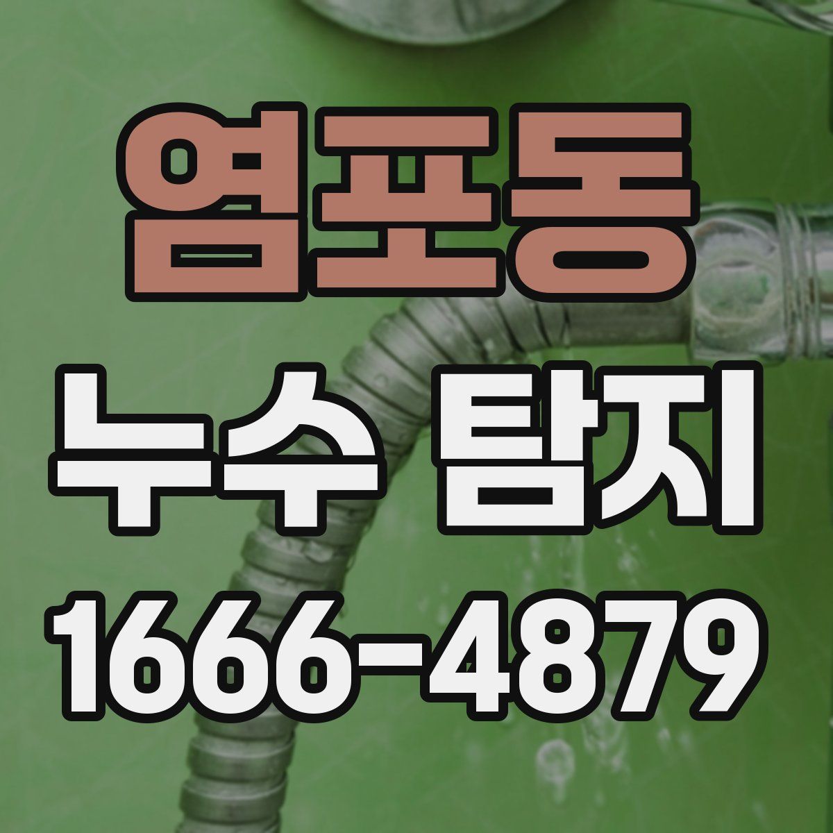 염포동 누수 탐지