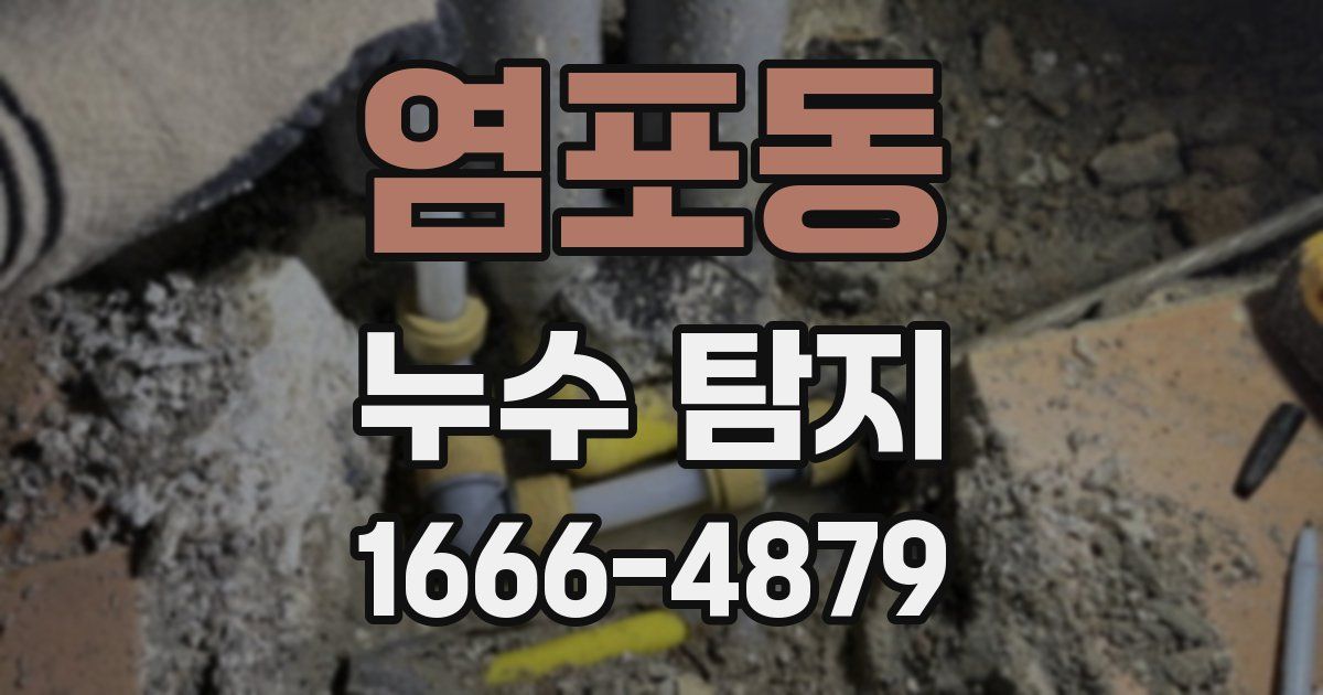 염포동 누수 탐지