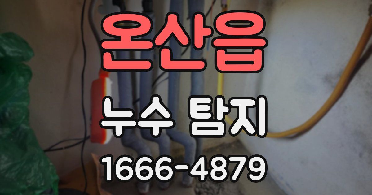 온산읍 누수 탐지