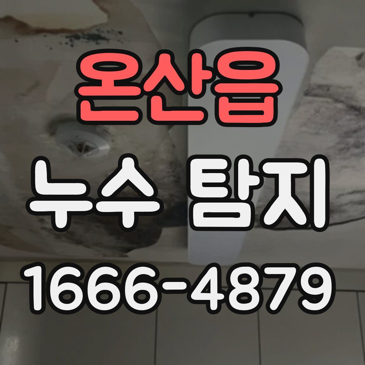 온산읍 누수 탐지
