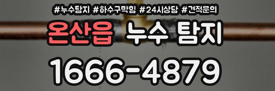 온산읍 누수 탐지