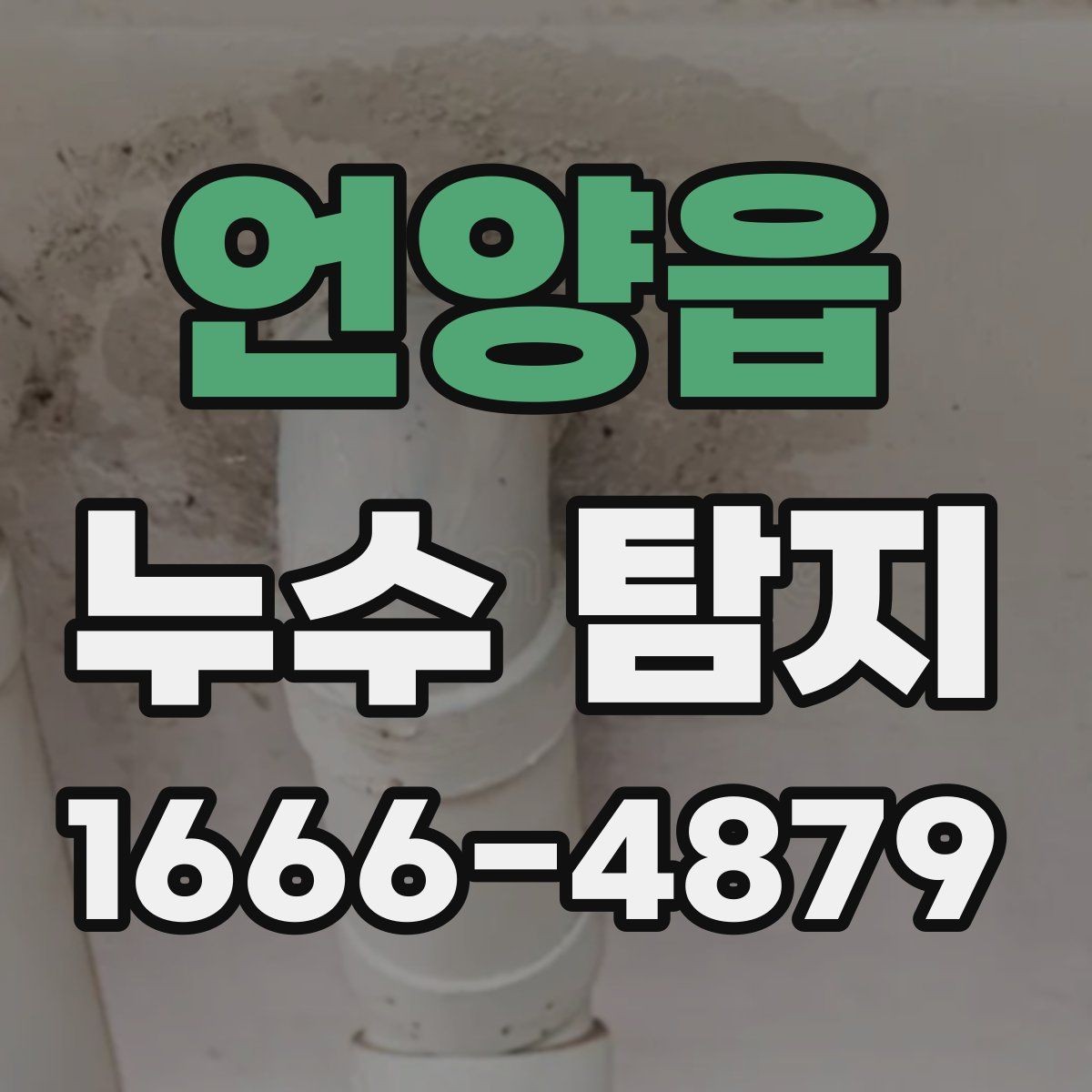 언양읍 누수 탐지 견적이 달라지는 이유