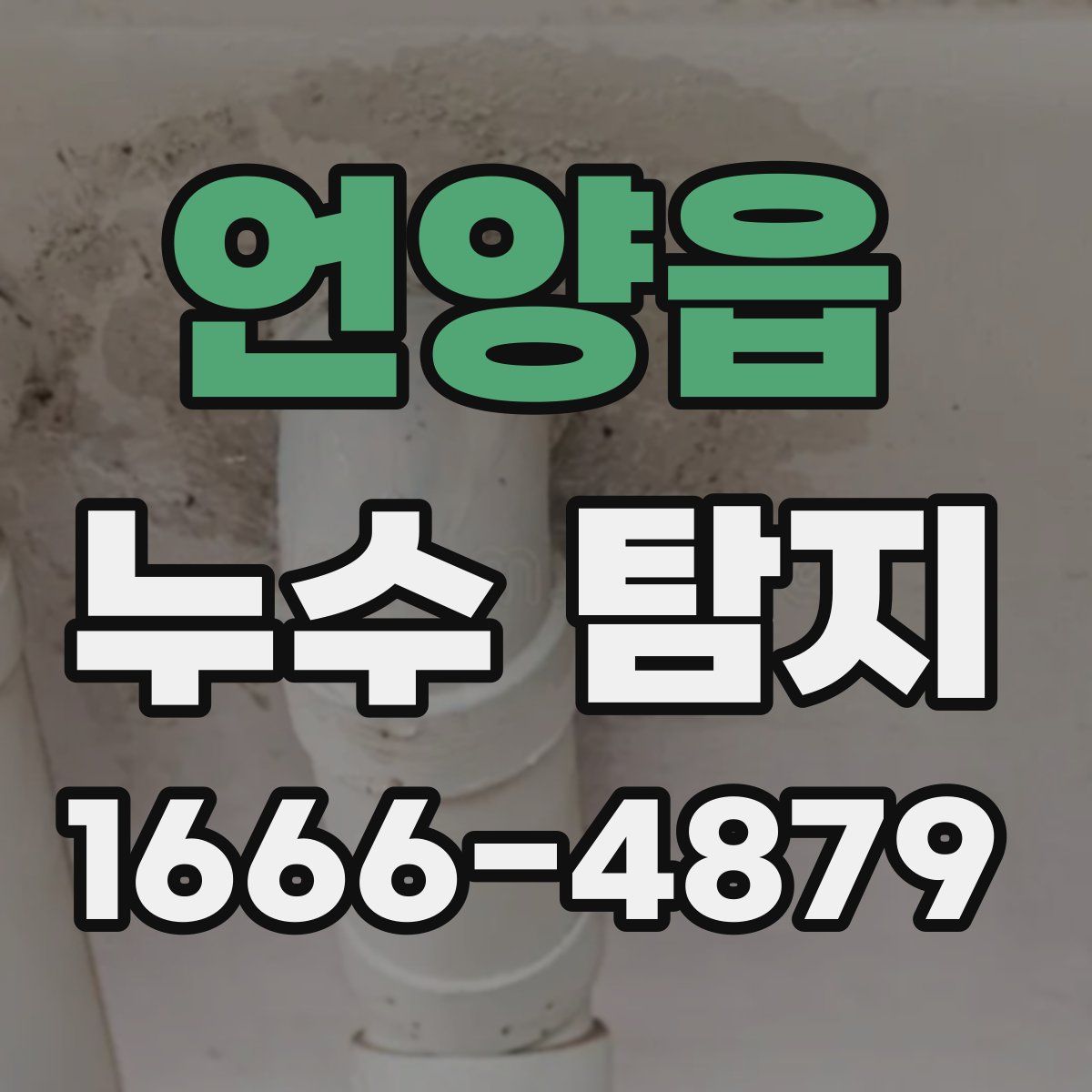 언양읍 누수 탐지