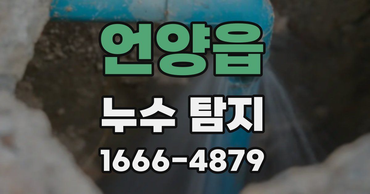 언양읍 누수 탐지