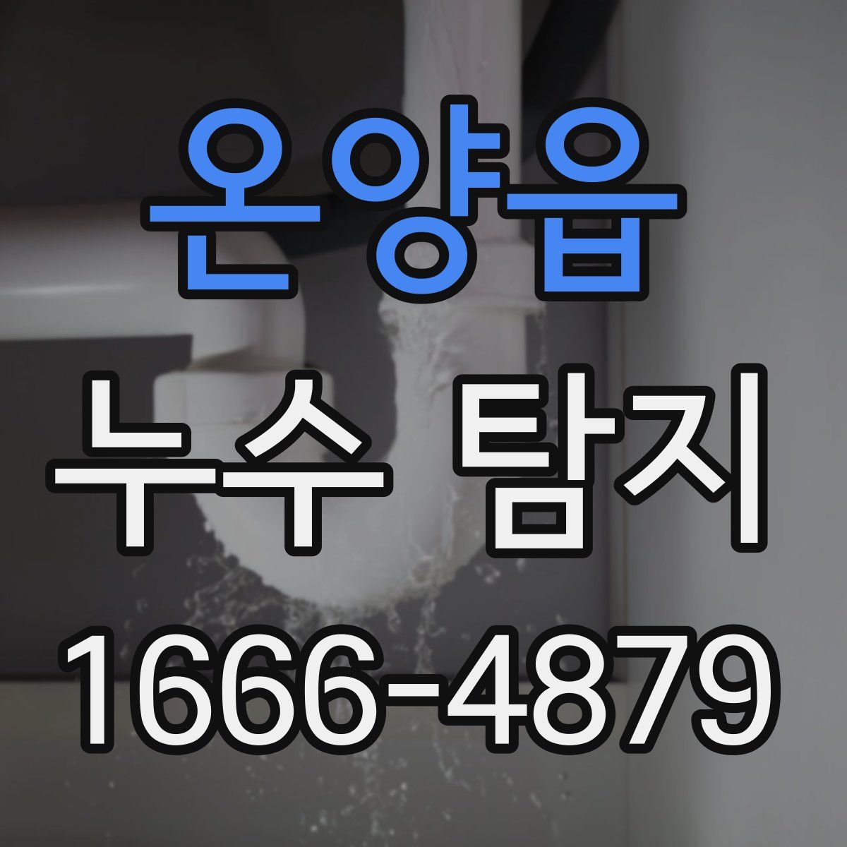 온양읍 누수 탐지