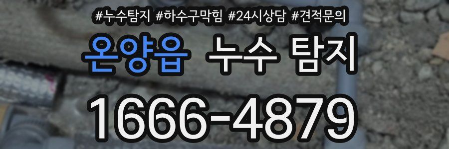 온양읍 누수 탐지