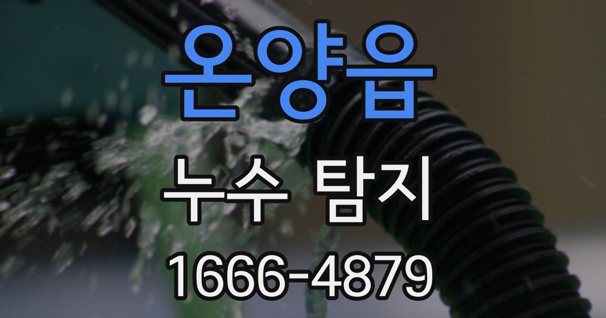 온양읍 누수 탐지