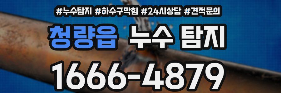 청량읍 누수 탐지