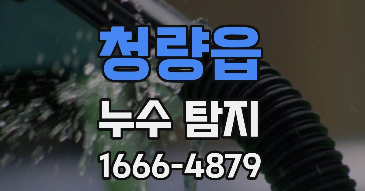 청량읍 누수 탐지