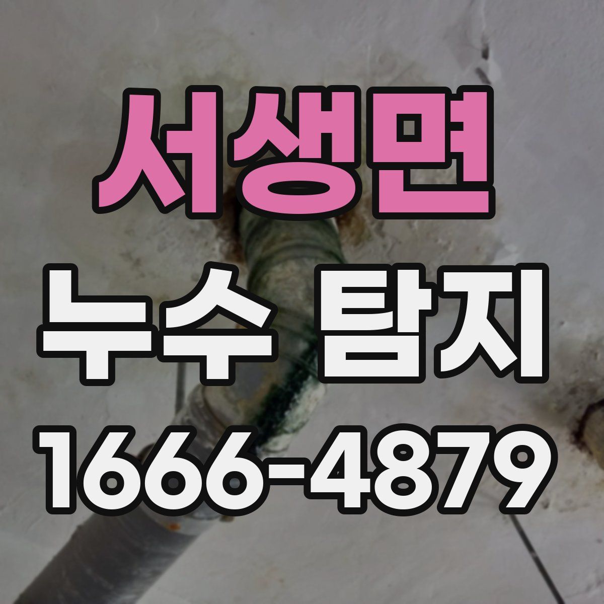 서생면 누수 탐지
