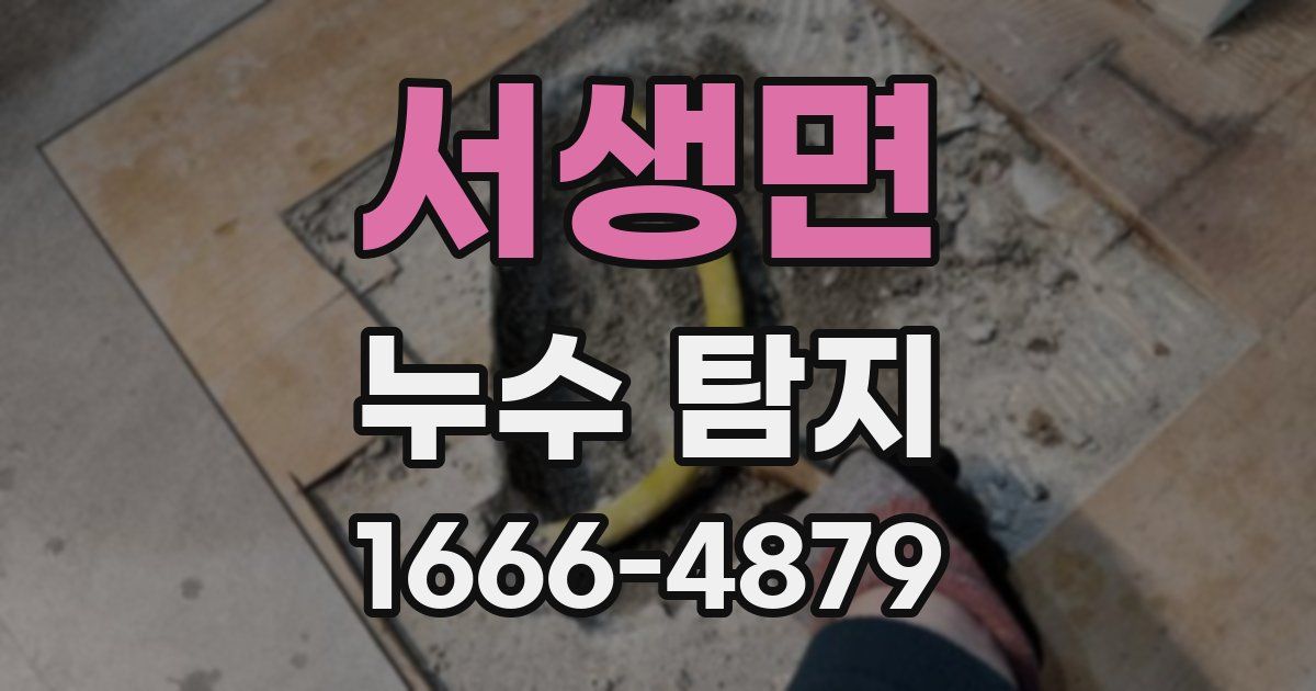서생면 누수 탐지