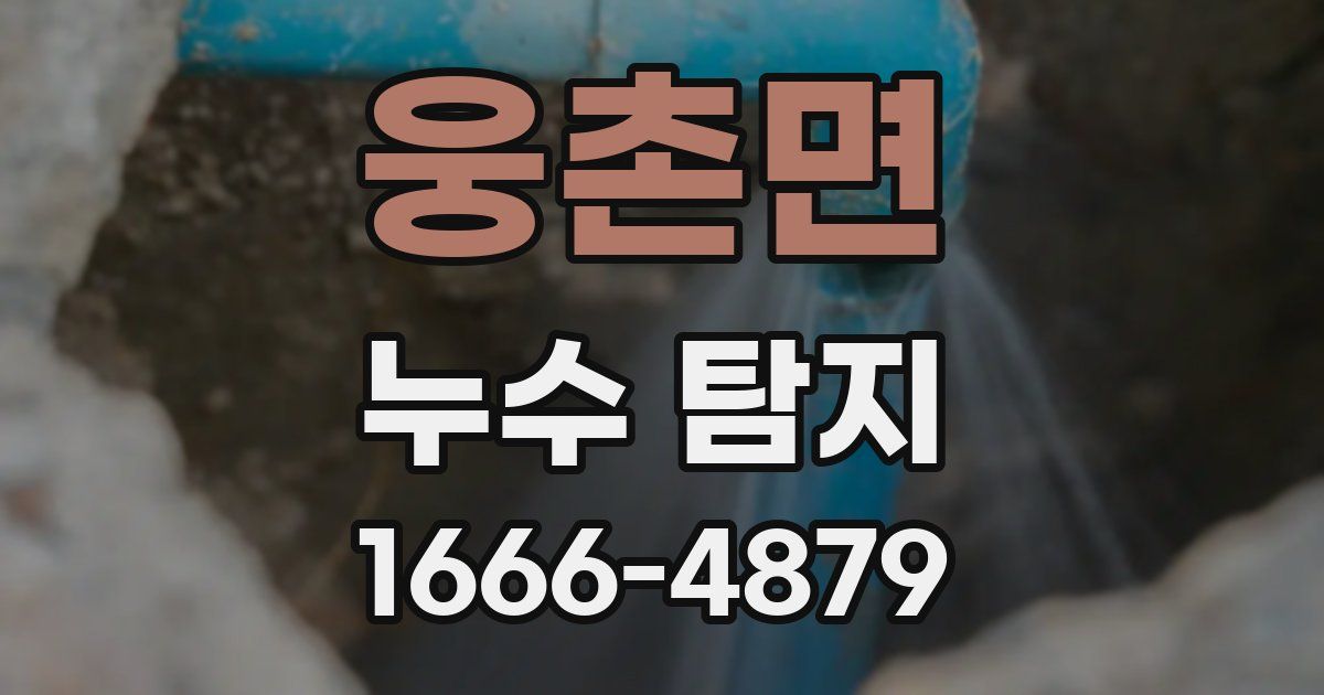 웅촌면 누수 탐지