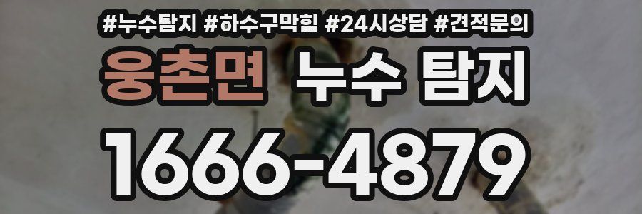 웅촌면 누수 탐지