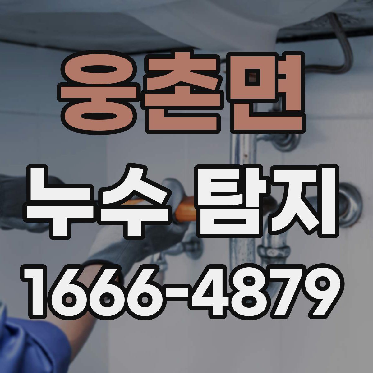 웅촌면 누수 탐지