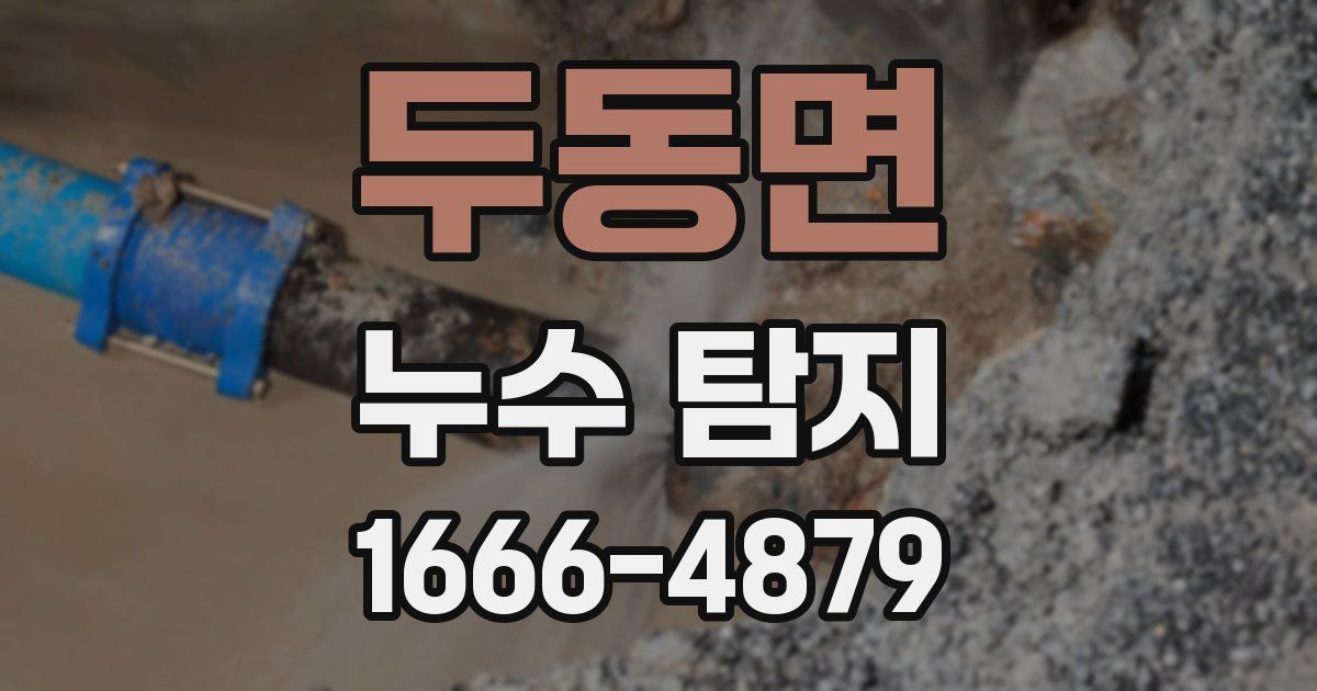 두동면 누수 탐지