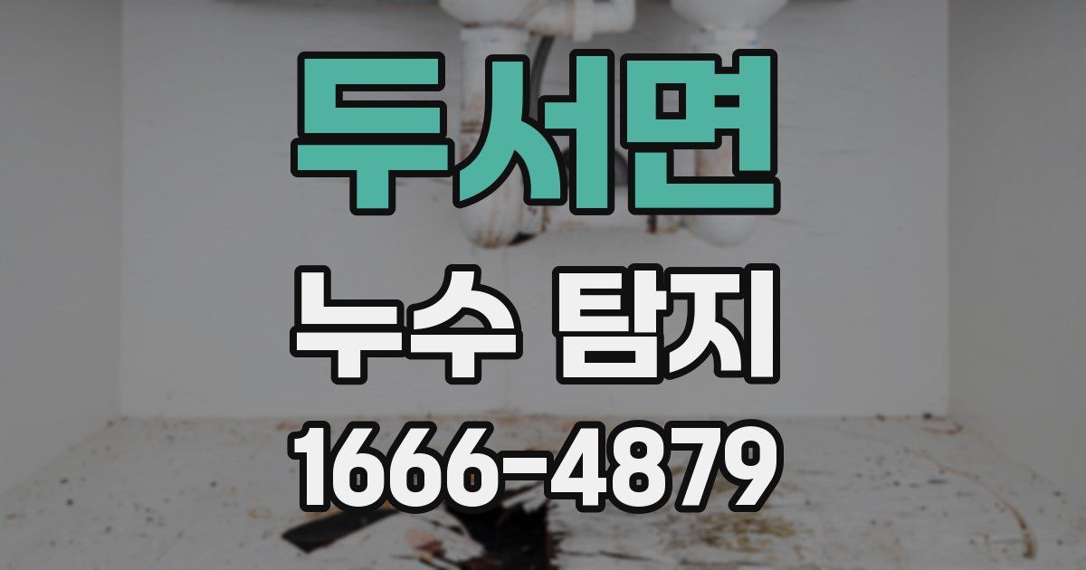 두서면 누수 탐지