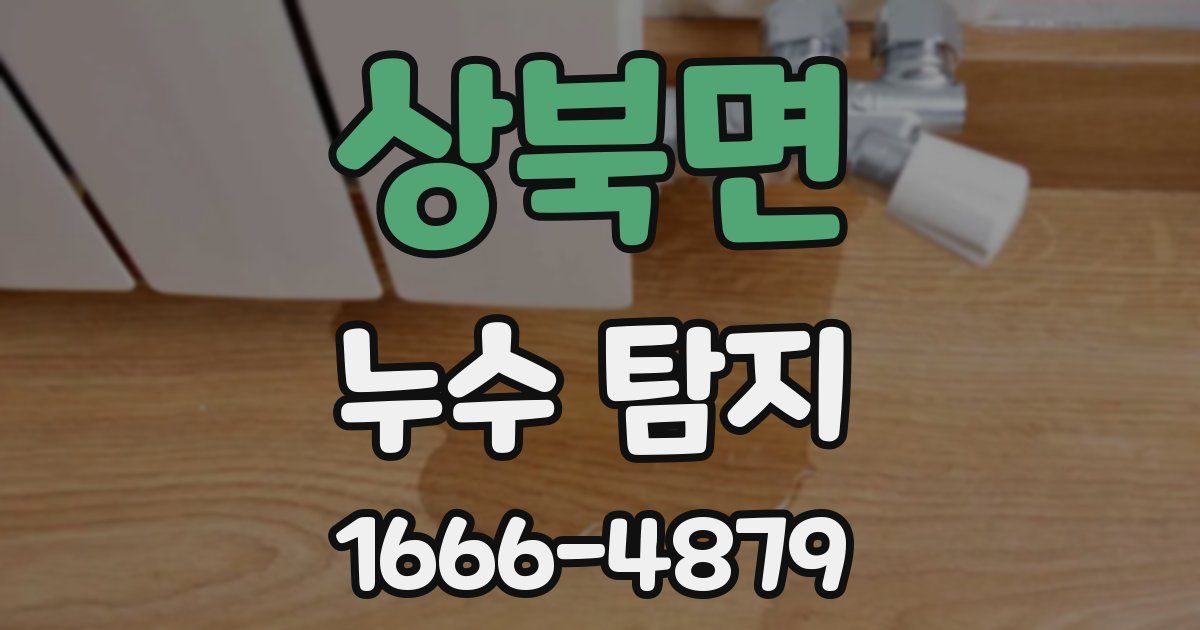 상북면 누수 탐지