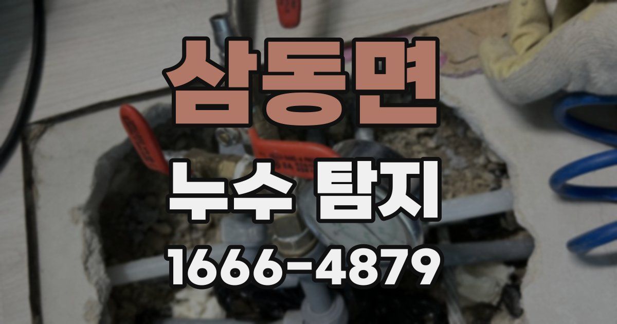 삼동면 누수 탐지