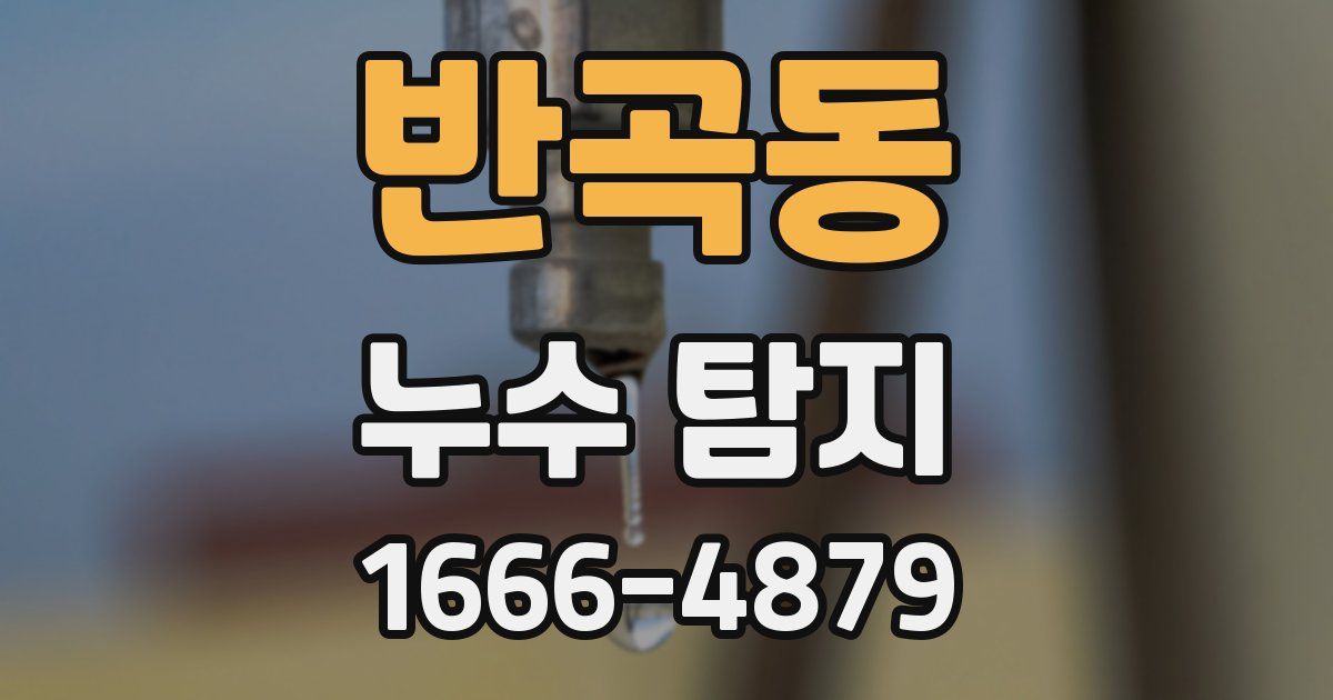 반곡동 누수 탐지