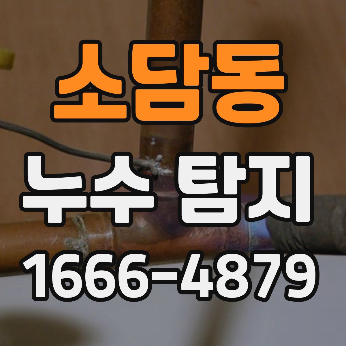 소담동 누수 탐지