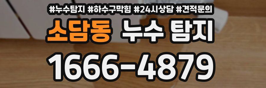 소담동 누수 탐지