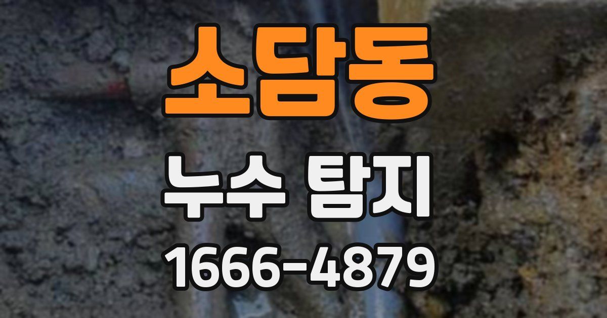 소담동 누수 탐지