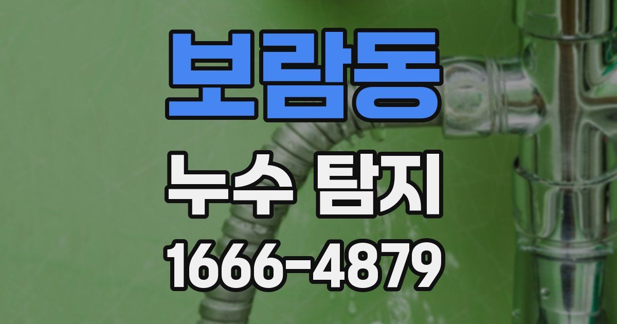 보람동 누수 탐지
