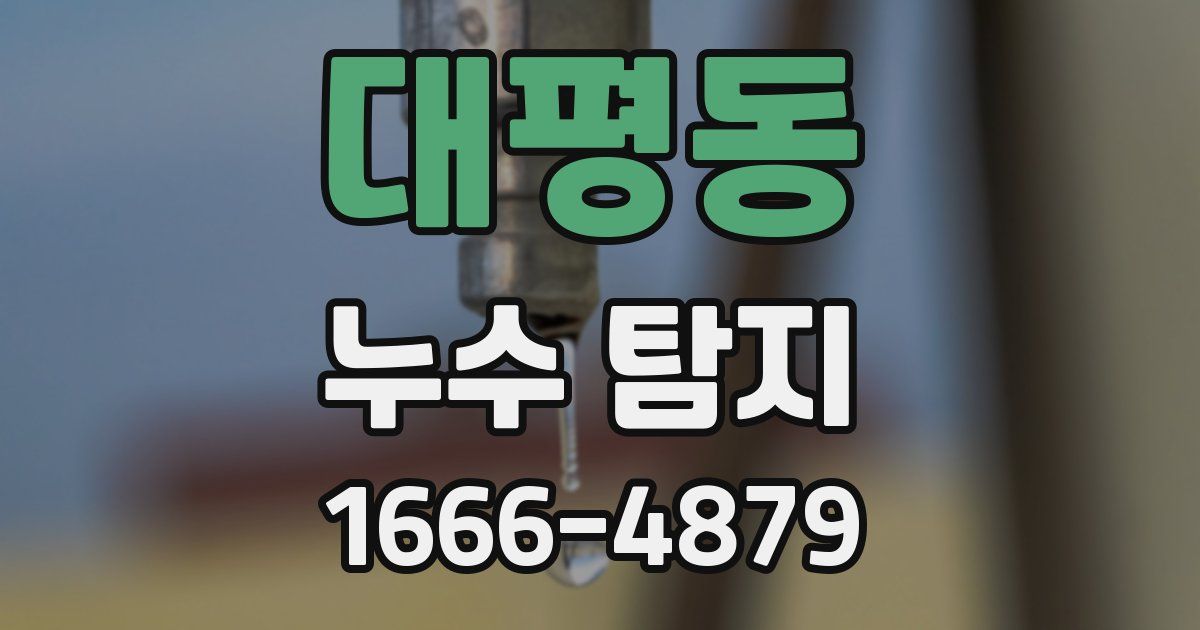 대평동 누수 탐지