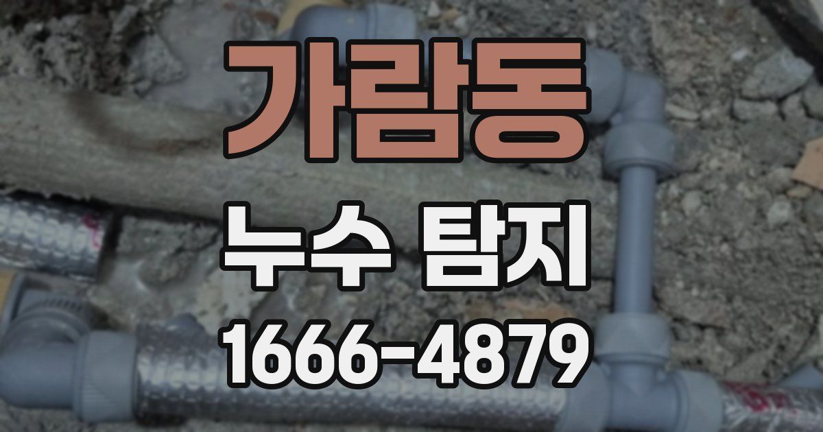 가람동 누수 탐지