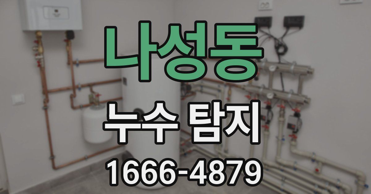 나성동 누수 탐지