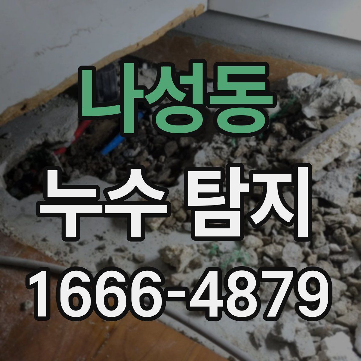나성동 누수 탐지