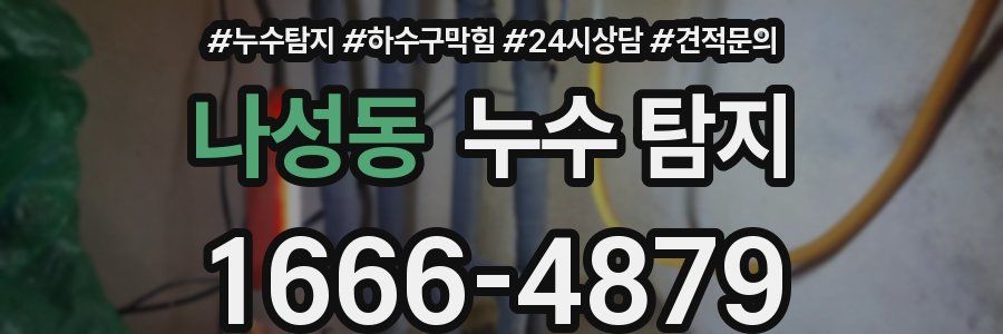 나성동 누수 탐지
