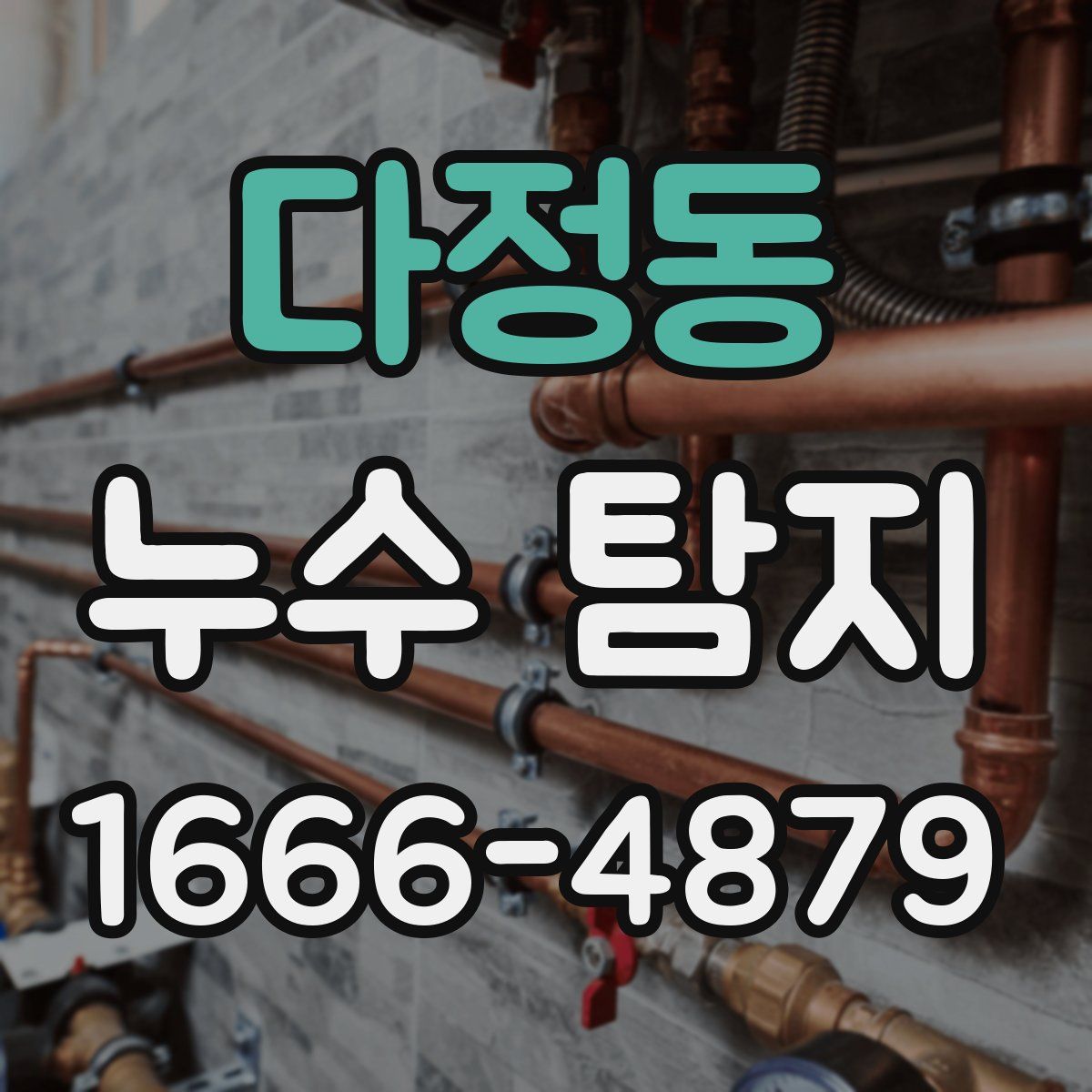 다정동 누수 탐지