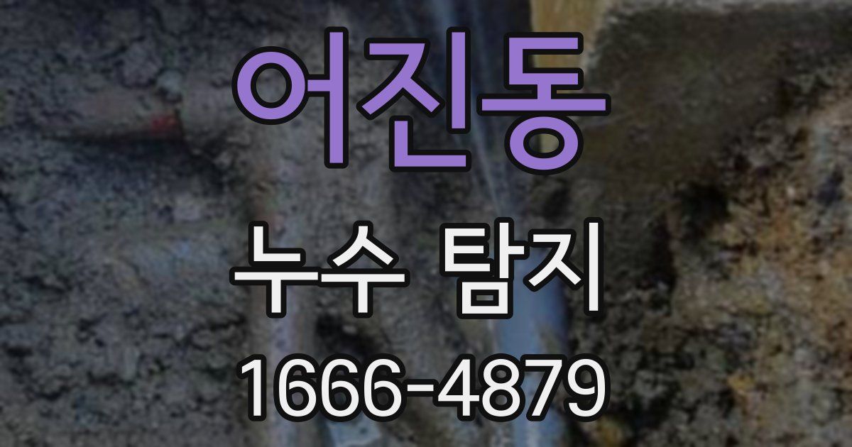 어진동 누수 탐지
