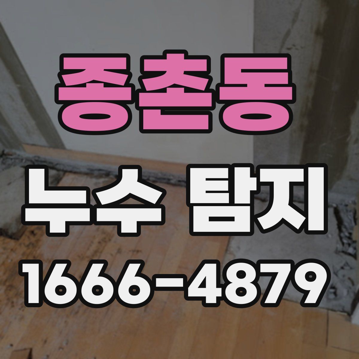 종촌동 누수 탐지