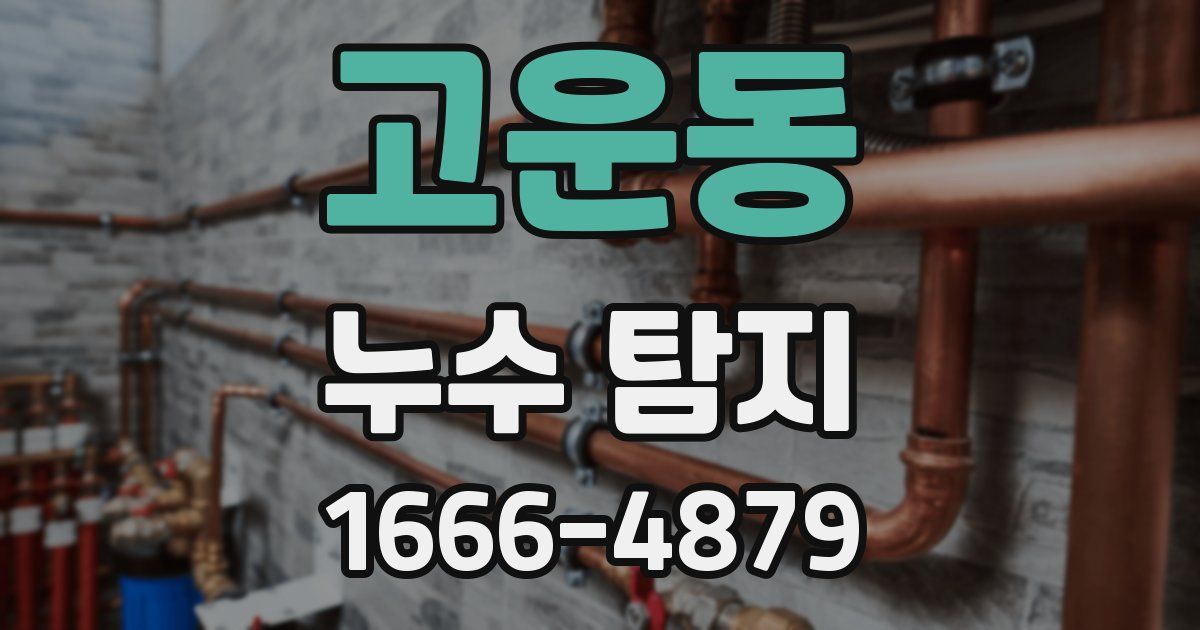 고운동 누수 탐지