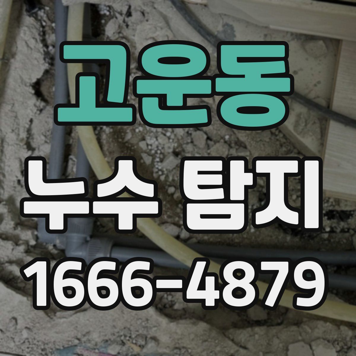 고운동 누수 탐지