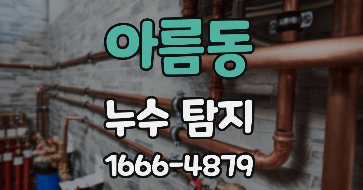 아름동 누수 탐지